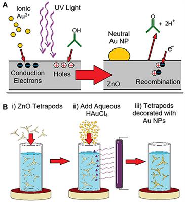 Light-Mediated Growth of Noble Metal Nanostructures (Au, Ag, Cu, Pt, Pd, Ru, Ir, Rh) From Micro- and Nanoscale ZnO Tetrapodal Backbones